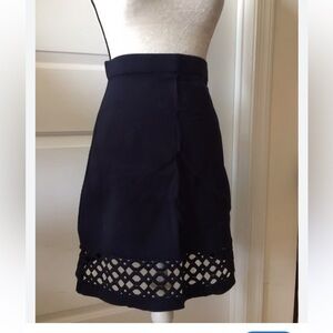 Ann Taylor Navy A-Line Skirt with Cut-out Hem